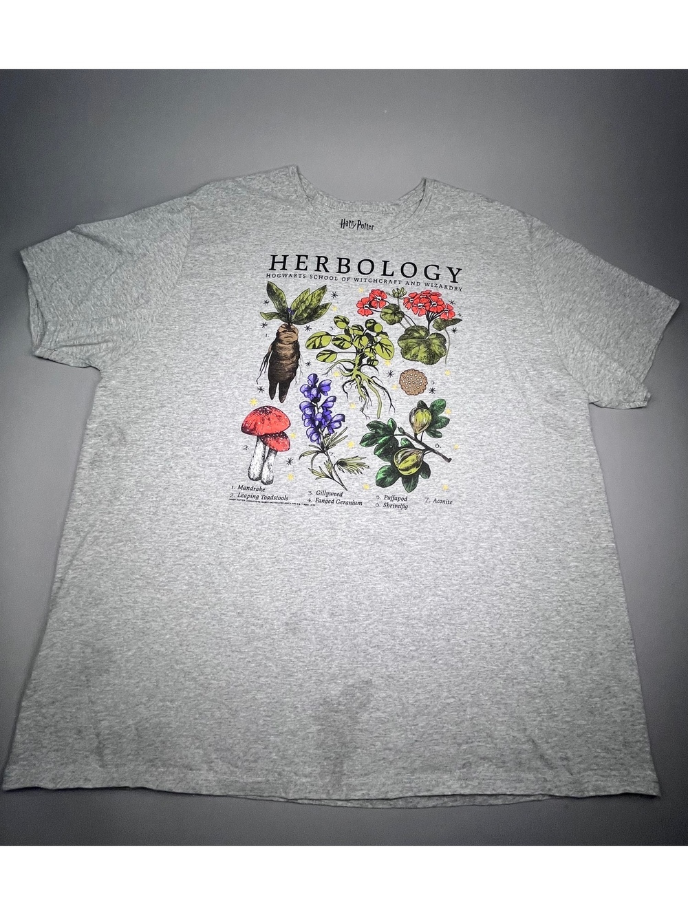Harry Potter Herbology graphic T-shirt gray